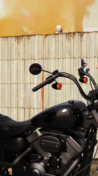 Apocalypse 47 Futând o tipă motociclistă matură