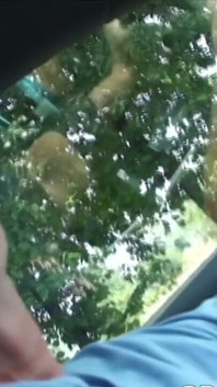 Mature Bouy Fucked by Twink in the Car