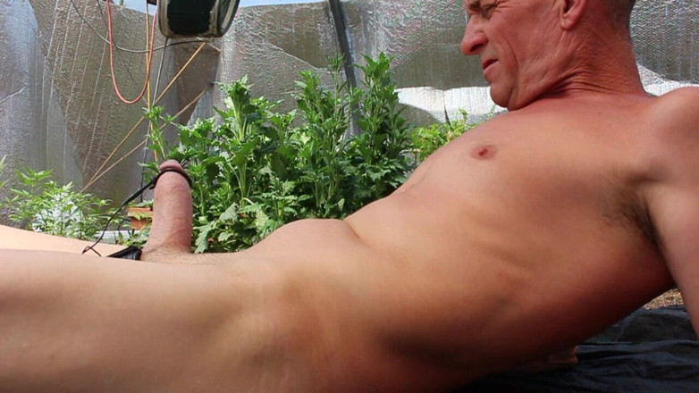 Micefreak: Greenhouse Estim June 2021