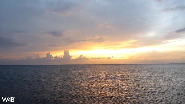 Watch4beauty: Beach Player