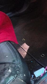 Backseat Hottie Get Squirting Naughty