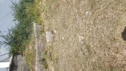 Boom 12: Bridge Nichey Chudayi venkovní vesnický sex