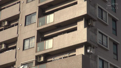 Vulture: 关于纳津托乔的一切！