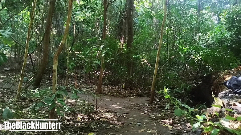 TheBlacKHunterr: 공원에서 사정