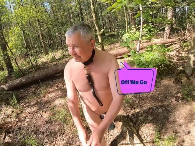Andy: Parte 2, caminata 2026