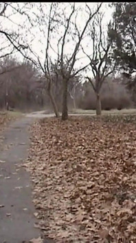 Cock-hungrig tjej knullas i parken offentligt