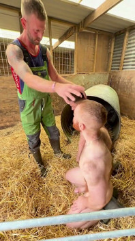 Två piggies och bonden