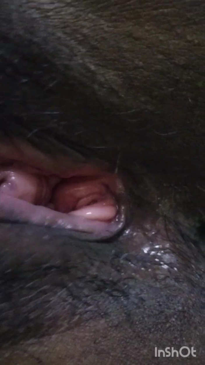 Funny couple porn studio: Coppia missionaria con gemiti