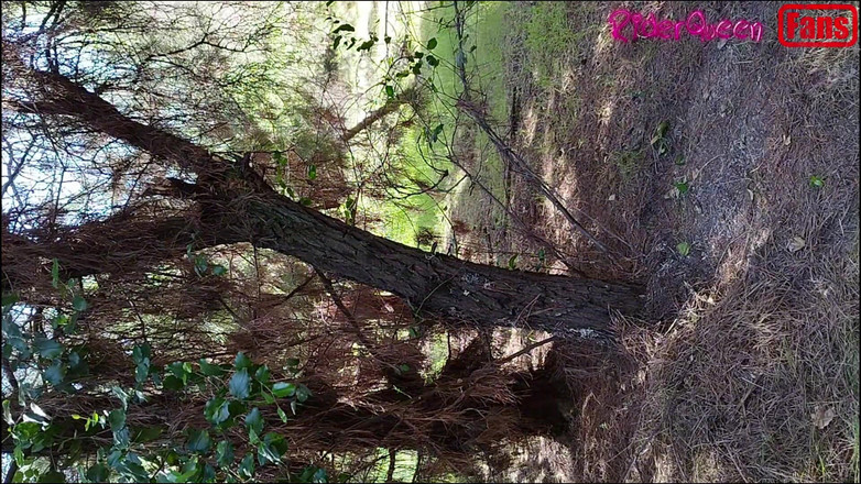 Riderqueen: Riderqueen doar pentru tine, videoclipuri pentru fani și urmăritori