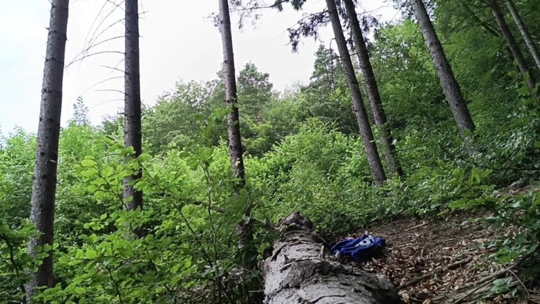 kickerscooter: Back at the Scene Rough Forest Fap with Massive