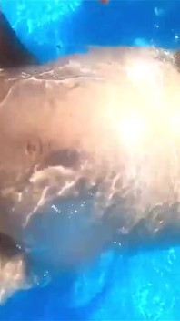 Embarazada folla la joven milf en la piscina Haciendo un show para los vecinos