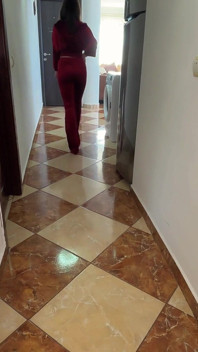 红色天鹅绒放屁女王
