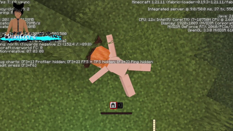Manor Cookie: Les besoins de la nature d’un Mod, Le mod, Steve...