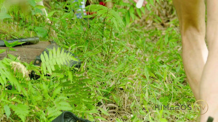 Himeros.tv: जंगल बंधन