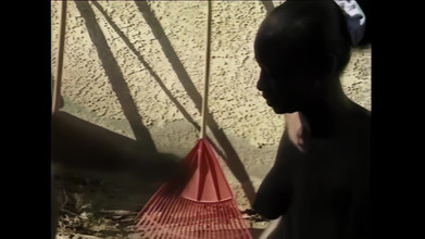 The Africans: 私の膣の愚行(映画)