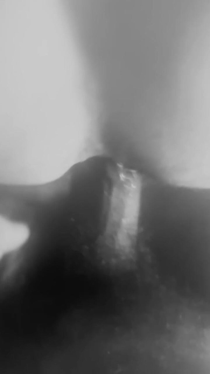 Iiwii 11BBC trans: Ftm Takedown