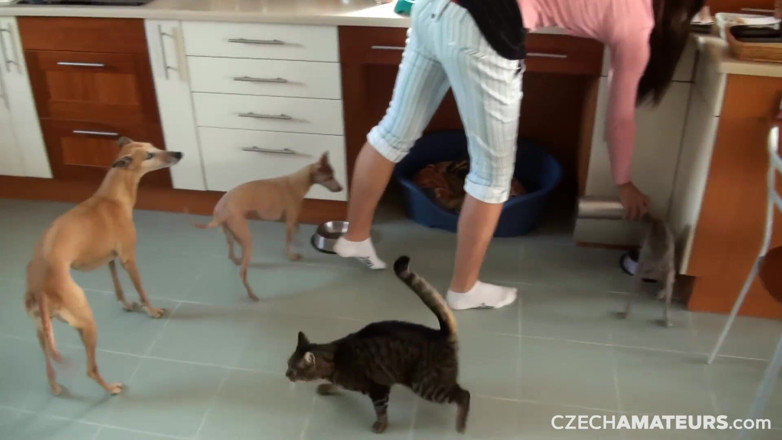 CzechAmateurs: Amateur checos 18: pareja casada folla