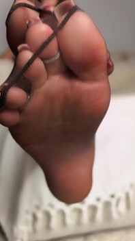 Sniff Them