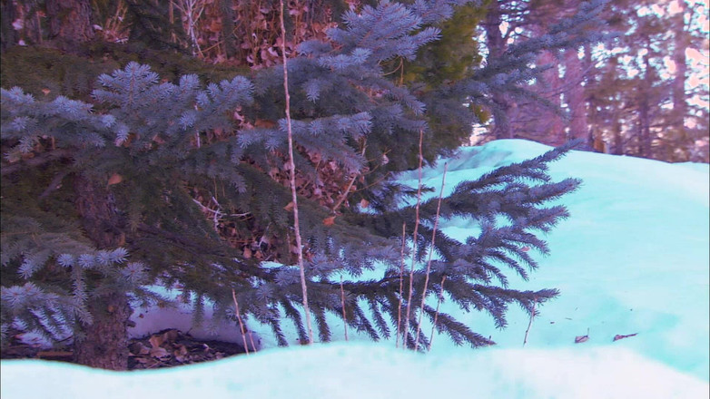 Perv Milfs n Teens: Velicity von rocks si pejantan dunia dengan toket besar dan...