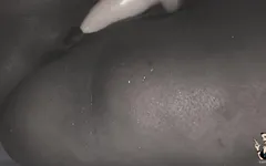 Black BBW Taking It in Her Giant Pussy with Big Penis