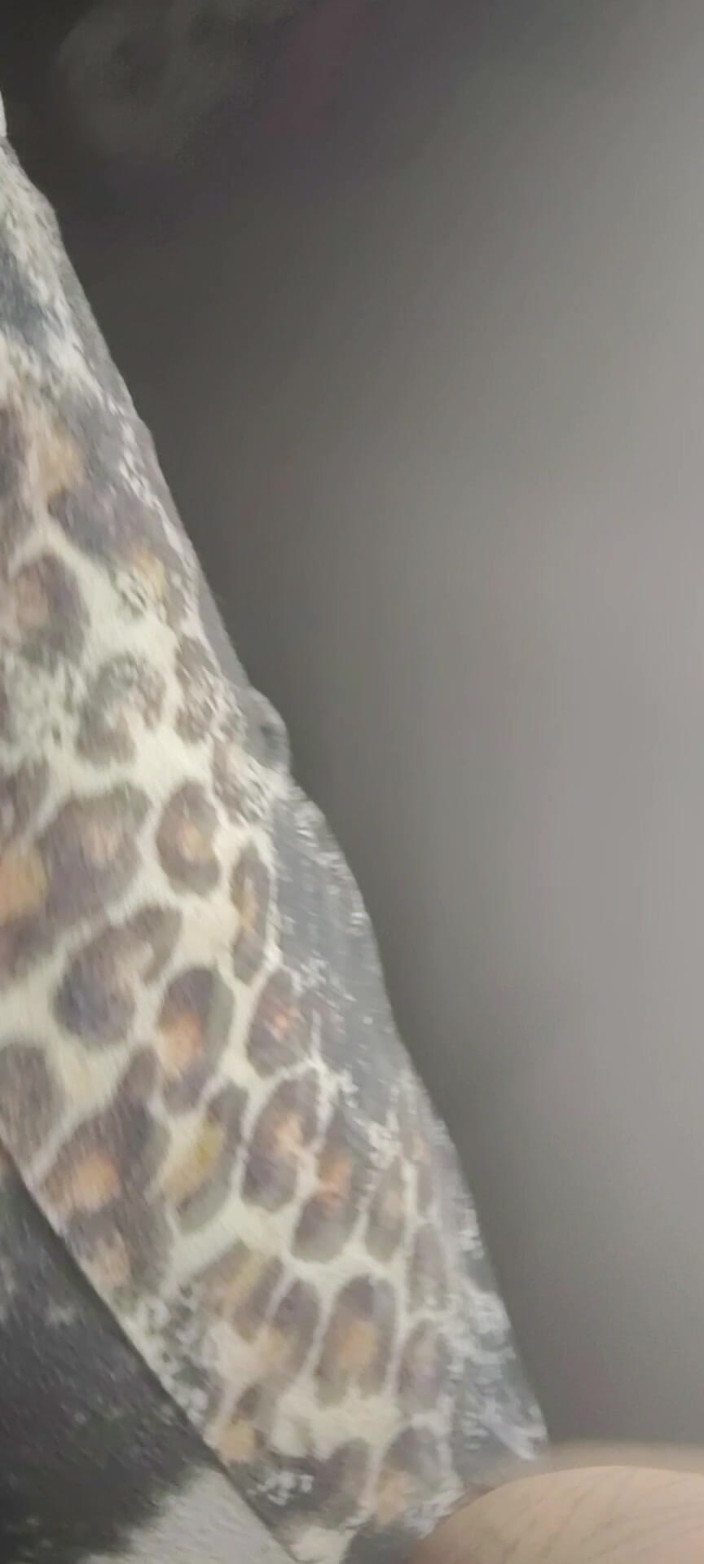 Dezzo d: Amigo tetona