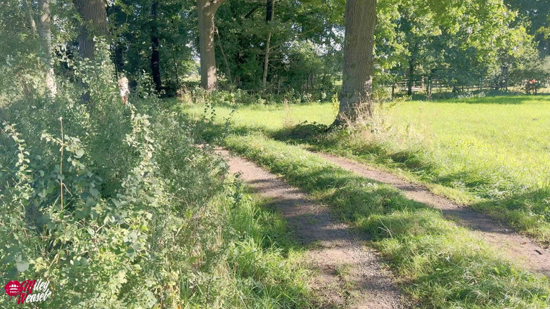 Miley Weasel: Fuck... Tentu saja ini terjadi padaku lagi! Aku dientot sama...