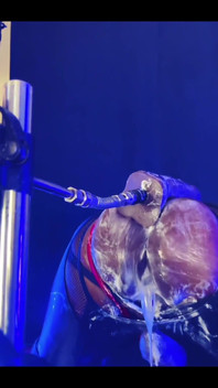 Gaping Creampied Butthole