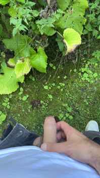 Golden Stream: Peeing in Paradise