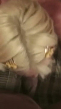Une MILF blonde insatiable prend toutes les bites bien dures offertes