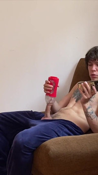Harry jen due amici vengono insieme