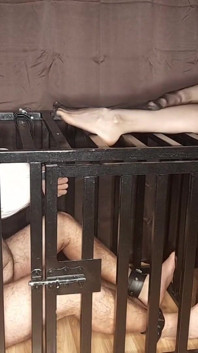 Lady Angela Polonyalı dil kafeste itaatkar naylon ayaklar dövmeli tanrıça