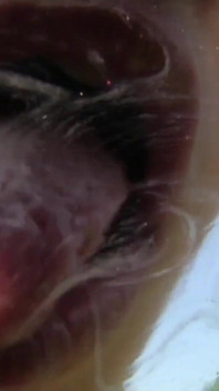 Poolside slut masturbates her ass and pussy with big dildos until orgasm