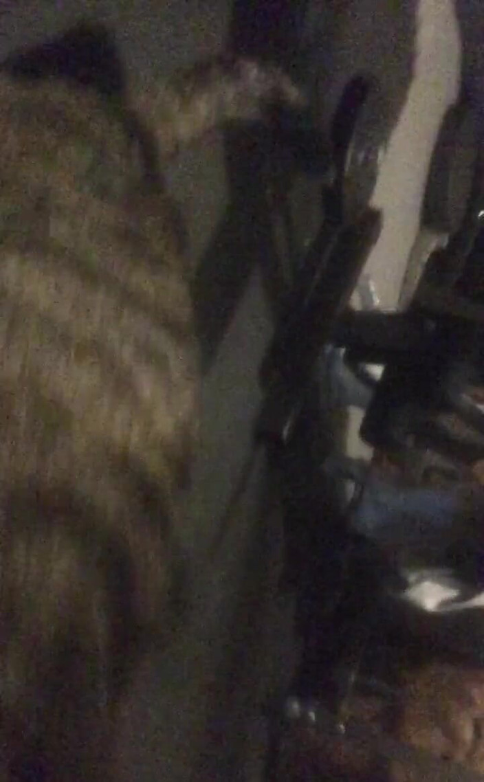 Michellexm: Tělo zblízka