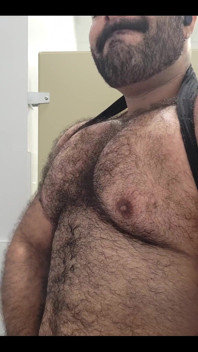 Solo Bear