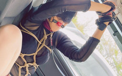 ushirosugatanomiki: Shame Blame Drive