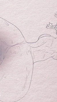 종이에 애니메이션 - 펜과 연필 헨타이 애니메이션 : 헌터 X 헌터 멘치 만화 포르노 2D 섹스