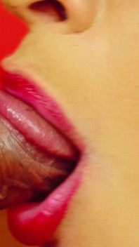 Nerdy Close up Blowjob