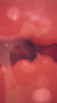 Boss Raiden Shogun Cums and Gets Roughly Fucked by a Mitachurl Cock Full Vaginal Nelson X Ray View