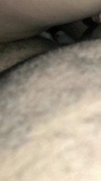 3069763