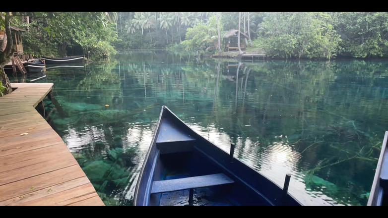 DaringKiara: Melekat di sekeliling