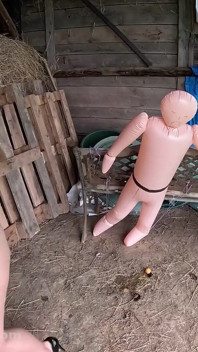 Ballbusting-training von muskulöser frau - zeitlupe