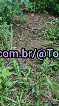 Aventuras De Katia Heffner
