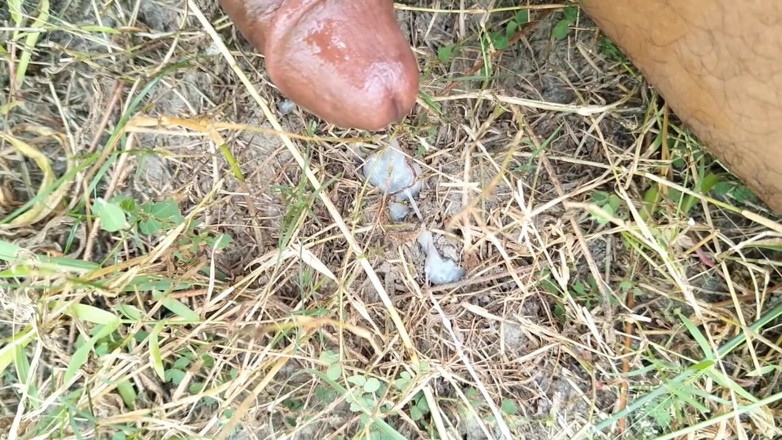 AnR: Mastürbasyon videosu böcek yarağı ormanda mastürbasyon yağla mastürbasyon yapıyor