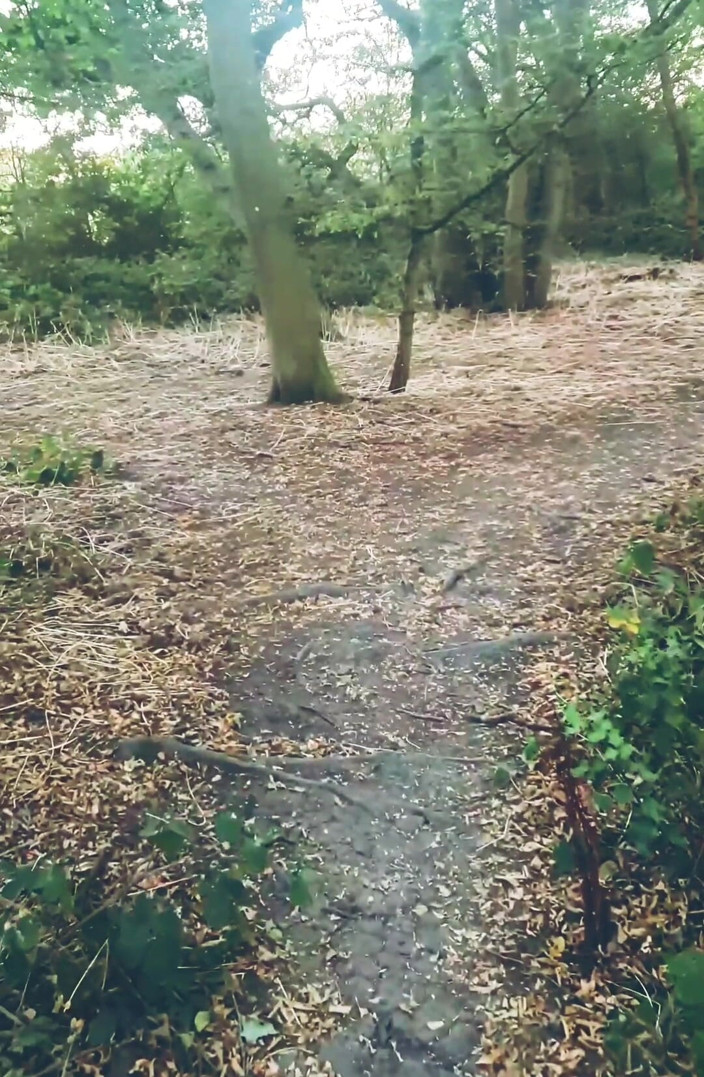 MaleModel: POV Naked Walk in the Woods