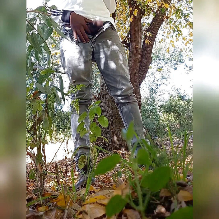 Zebra Ass: 第一部视频