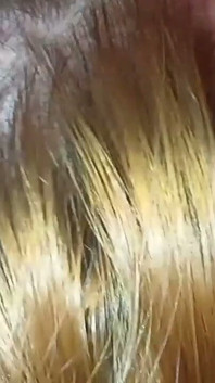 Nazty Katt Xtreme/cut: a Rainha de Nazty Garganta Profunda retorna