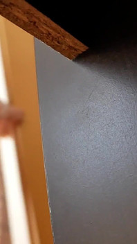 College Girls' Home Footage - This Is the Truth! 4-3