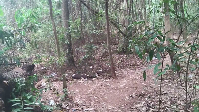 TheBlacKHunterr: Я остановился у лагуны, чтобы поплавать и