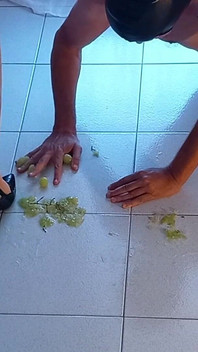 노예에게 부순 포도와 콧물