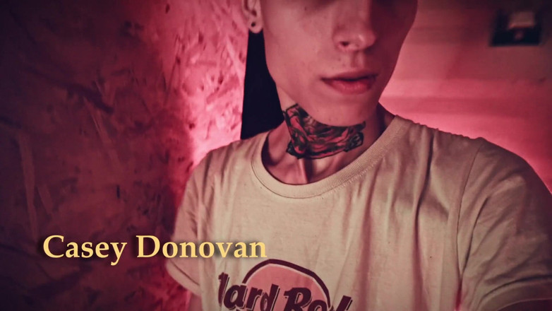 HotDogs studio: vandar glori hol